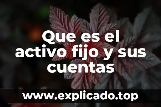 Que es el importe del capital fijo 5 Que es el activo fijo y sus cuentas