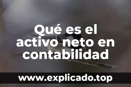Carbon vegetal activo para que es 5 Qué es el activo neto en contabilidad