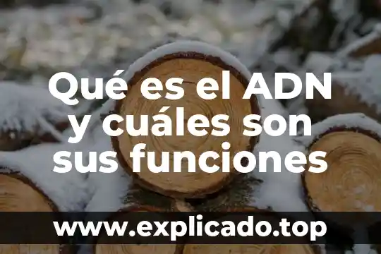 Qué es el derecho y cuáles son sus ramas 5 Qué es el ADN y cuáles son sus funciones