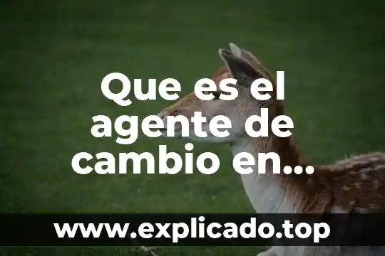 Que es el desarrollo organizacional caracteristicas etapas de proceso 3 Que es el agente de cambio en desarrollo organizacional