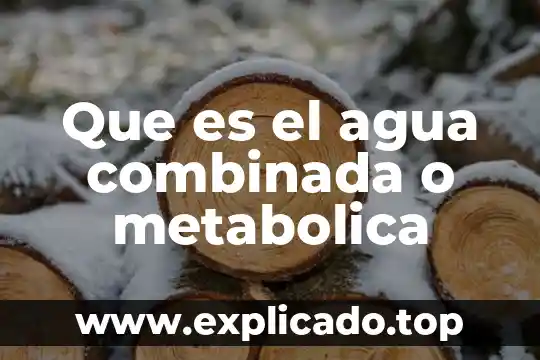 Que es el agua combinada o metabolica