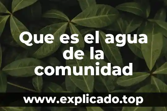 Que es el agua de la comunidad
