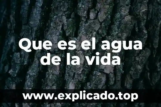 Que es el agua de la vida