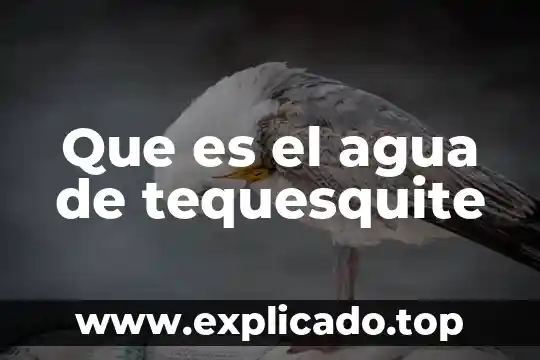 Que es el agua de tequesquite
