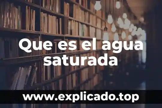 ¿Qué es un fluido en corriente de agua? 6 Que es el agua saturada