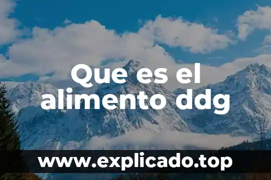 Que es una rebaja en un alimento 3 Que es el alimento ddg