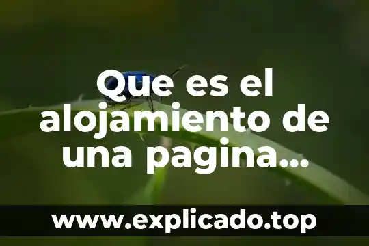 Bando de ancha en pagina web que es 3 Que es el alojamiento de una pagina web