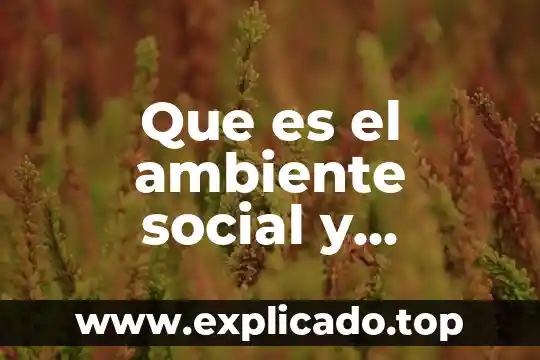 Algo que es como un sueño 5 Que es el ambiente social y cultural