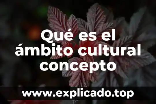 Que es una sona cultural 3 Qué es el ámbito cultural concepto