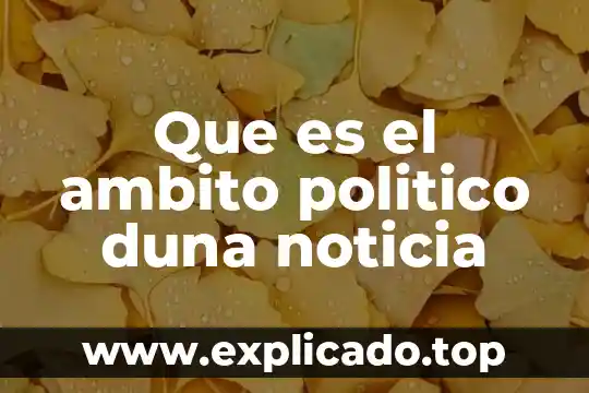 Que es un emprendedor político 4 Que es el ambito politico duna noticia