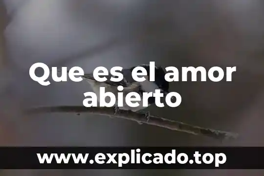 Que es el sistema abierto de la sep 5 Que es el amor abierto