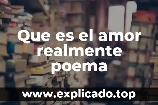 Qué es una carta de asignación de una instrucción 4 Que es el amor realmente poema
