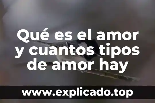 Que es una declinación y cuántos tipos existen 8 Qué es el amor y cuantos tipos de amor hay