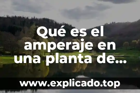 Qué es el tabaco es una planta originaria de américa 7 Qué es el amperaje en una planta de soldar
