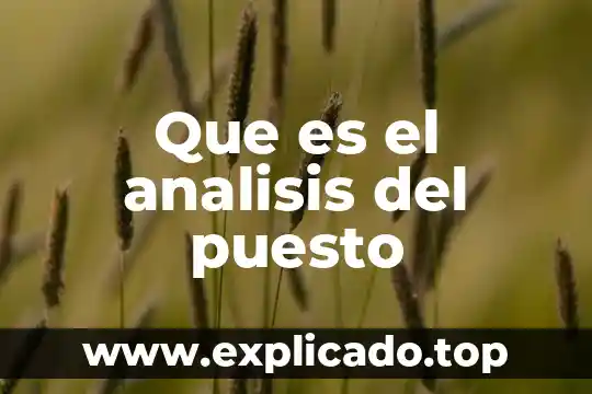Que es la adaptacion al puesto de trabajo 8 Que es el analisis del puesto