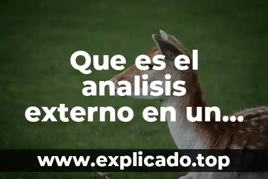 Que es analisis f.o.d.a de chamarras 6 Que es el analisis externo en un analisis foda