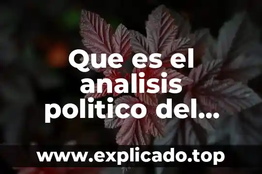 Qué es el vpm en un análisis de sangre 7 Que es el analisis politico del discurso