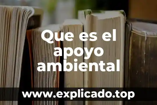 Que es apoyo en administracion 5 Que es el apoyo ambiental