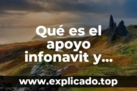 Qué es una catarina industrial y para qué sirve 4 Qué es el apoyo infonavit y para qué sirve