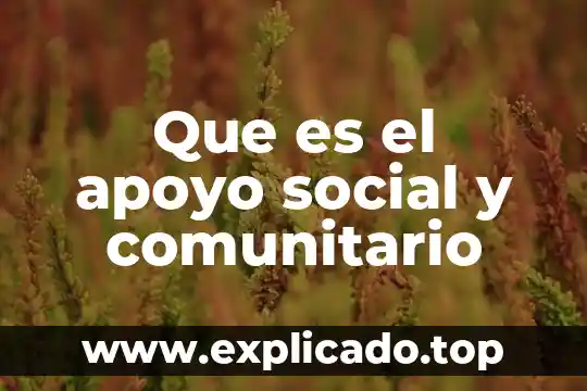 Qué es el saneamiento básico familiar y comunitario 4 Que es el apoyo social y comunitario