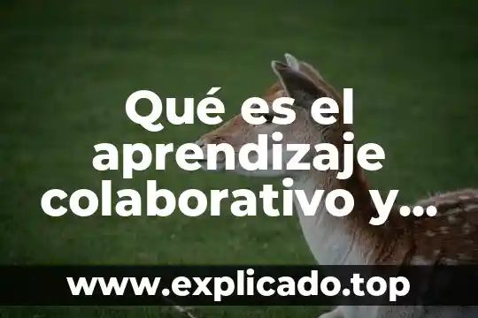Que es flattening en estructural 3 Qué es el aprendizaje colaborativo y cooperativo bibliografía