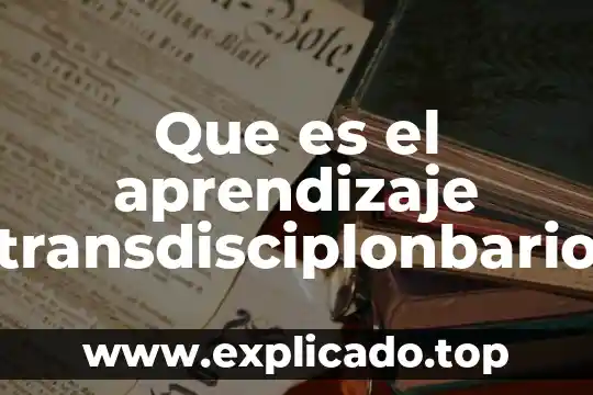 Que es el aprendizaje transdisciplonbario