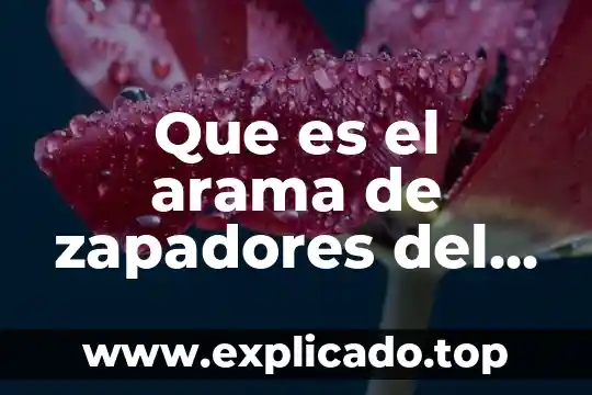 Que es un dialecto mexicano 7 Que es el arama de zapadores del ejercito mexicano