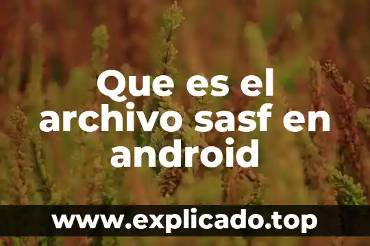 Que es com android os 3 Que es el archivo sasf en android