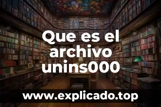 Que es un archivo de internet 4 Que es el archivo unins000