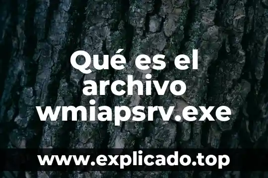 Que es el panel de archivo en publisher 4 Qué es el archivo wmiapsrv.exe