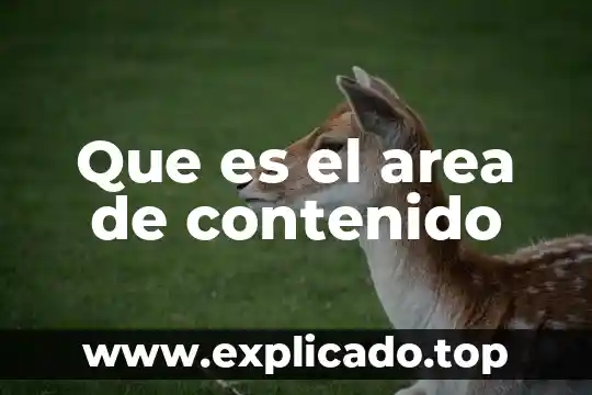 Que es un organigrama del area 6 Que es el area de contenido