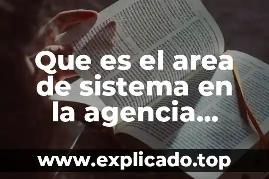 Que es el area de sistema en la agencia volkswagen