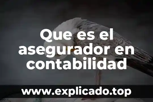 Que es el asegurador en contabilidad