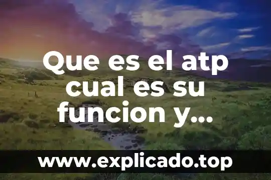 Qué es una escala mayor y cuál es su estructura 5 Que es el atp cual es su funcion y estructura