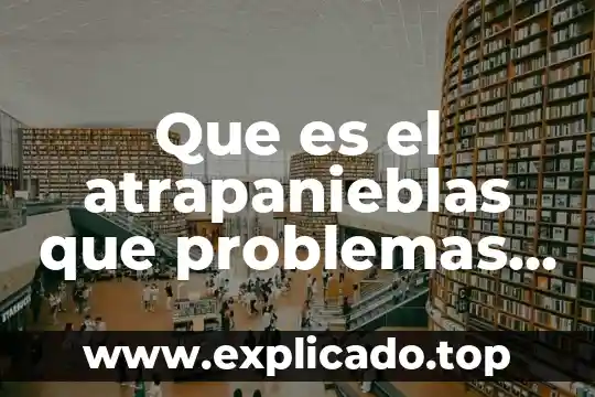 Problemas dietéticos que es 8 Que es el atrapanieblas que problemas atiende