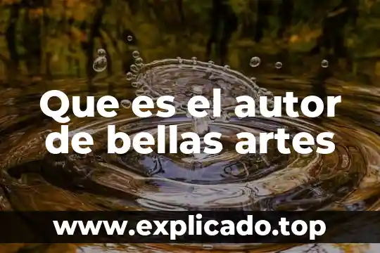 Qué es instituto nacional de bellas artes 5 Que es el autor de bellas artes