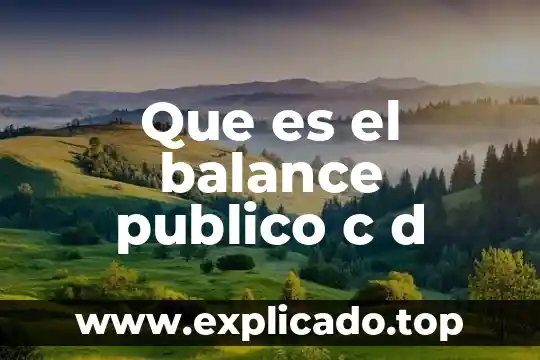 Que es lo que contiene un balance general 8 Que es el balance publico c d