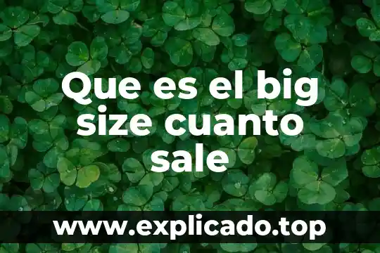 Que es el big data y analytics 4 Que es el big size cuanto sale