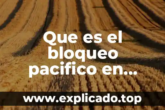 Que es el derecho de caza 7 Que es el bloqueo pacifico en derecho internacional