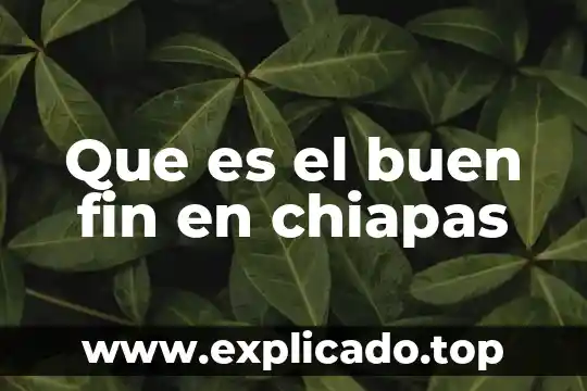 Que es le ambiente marino 7 Que es el buen fin en chiapas