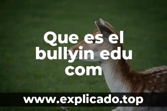 Qué es un ensayo literario edu 3 Que es el bullyin edu com