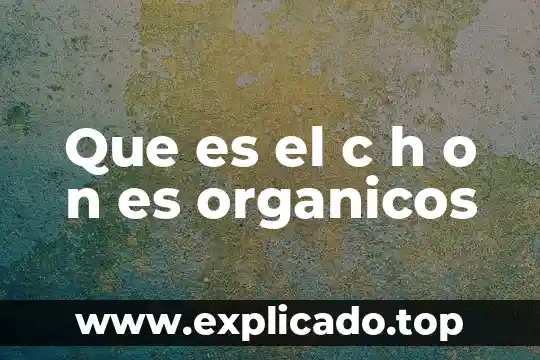 Que es biocida son organicos e inorganicos 4 Que es el c h o n es organicos