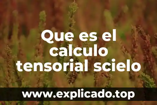 Que es una serie y su clasificacion calculo integral 3 Que es el calculo tensorial scielo