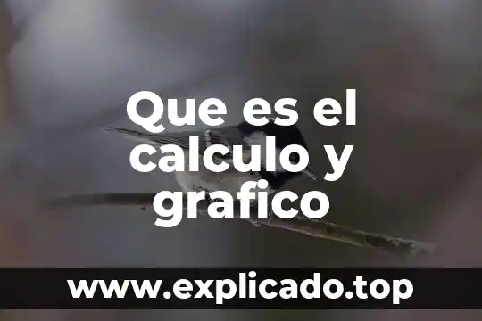 Que es una serie y su clasificacion calculo integral 5 Que es el calculo y grafico