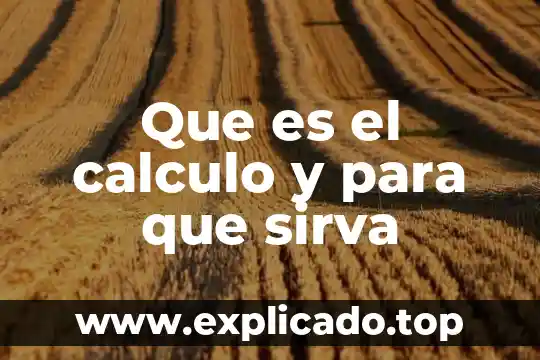 Que es el calculo y para que sirva