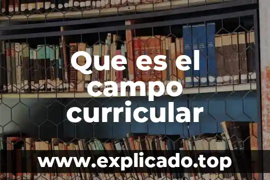 Que es el desarrollo curricular sena 5 Que es el campo curricular