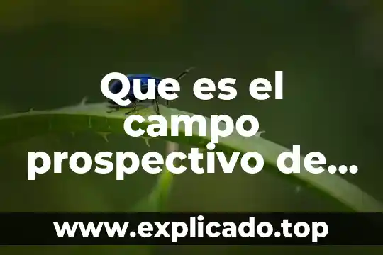 Qué es blof redes sociales 4 Que es el campo prospectivo de las ciencias sociales