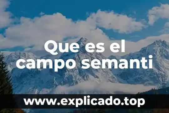 Campo esteril desechable que es 8 Que es el campo semanti