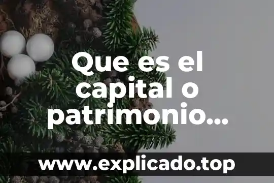 Que es lo que contiene un balance general 7 Que es el capital o patrimonio dentro del balance general