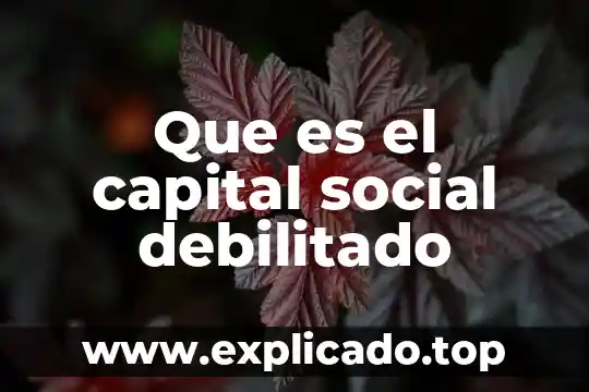 Que es el capital social debilitado
